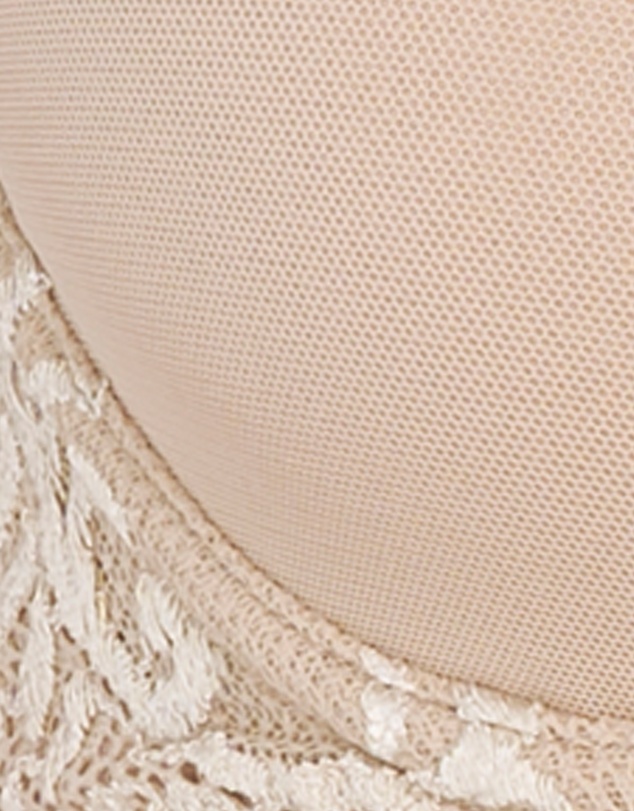 Natori - Feathers Convertible-to-Strapless Plunge Bra with Lace