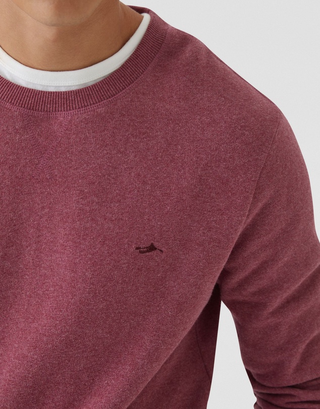 Oxford - Leo Organic Cotton Sweatshirt