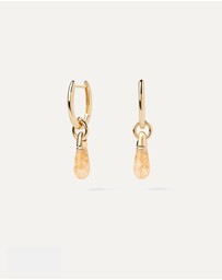 PDPAOLA - Yellow Aventurine Jupiter Hoop Earrings