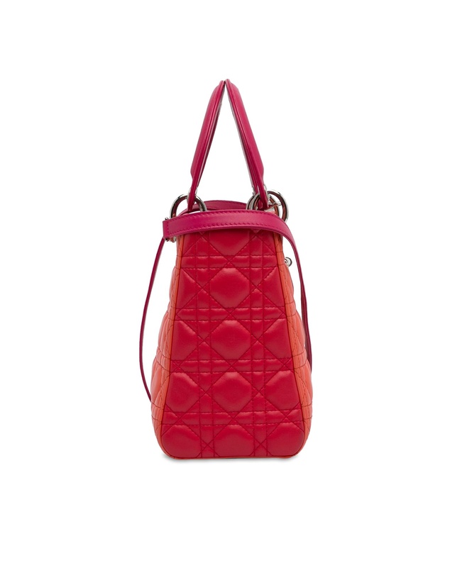Pre-Loved by Azura Reborn - Pre-Loved Diorama Lady Dior Handbag