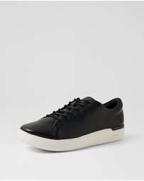 Rockport - Flex Ro