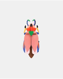 Studio Roof  - Wall Art Beetles A4