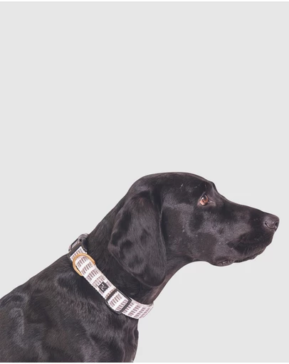 Mog & Bone - Hemp dog collar - Latte Mosaic Print