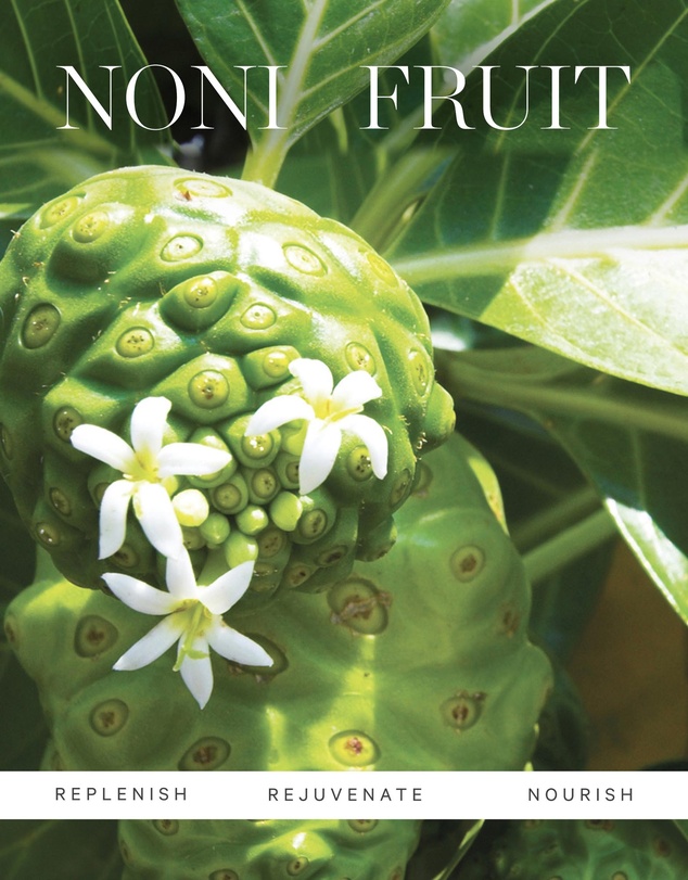 KORA Organics - Noni Glow Face Oil