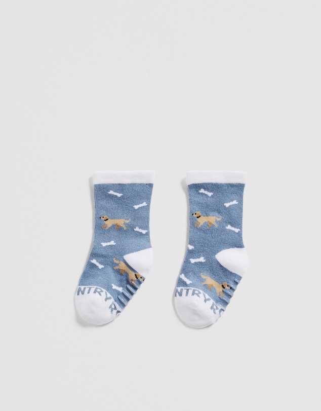 Country Road - Dog Sock