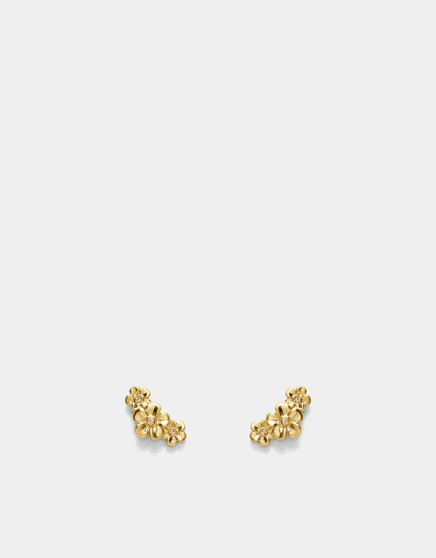 MIMCO - Garden Climber Stud Earrings - Gold
