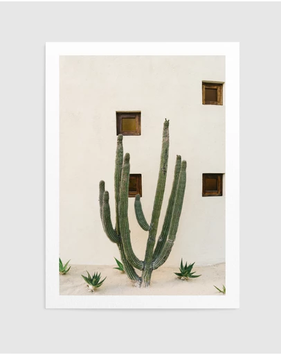 Olive et Oriel - Cabo Cactus Ix by Bethany Young Art Print