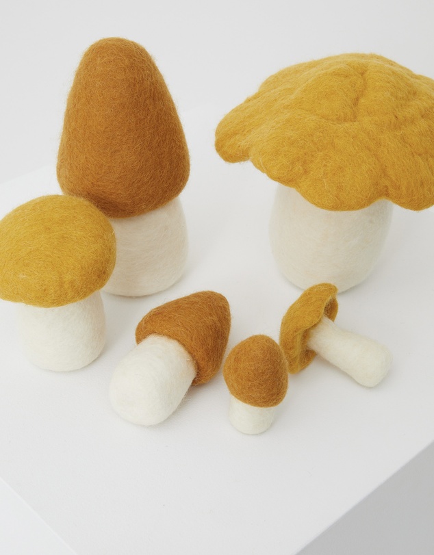 Phile - Crate of Mushrooms