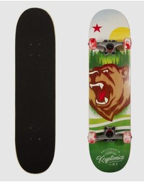 iWorld - Bravo Sports Kryptonics KR31 Star Series Skateboard - Swirled Bear