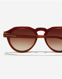 Hawkers Co - HAWKERS - Warwick Raw Caramel Terracotta Sunglasses for Men and Women UV400