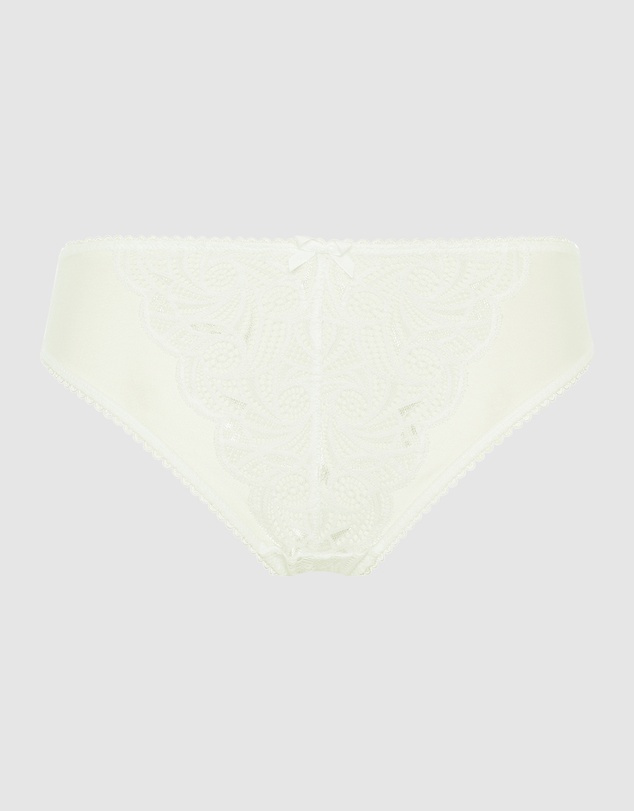Sans Complexe - Ariane Classic Lace & Microfiber Brief