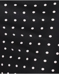 Petal & Pup - Ailbhe Lace Skirt - Black Polka Dot