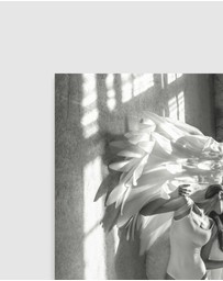 Olive et Oriel - City Of Angels III Art Print