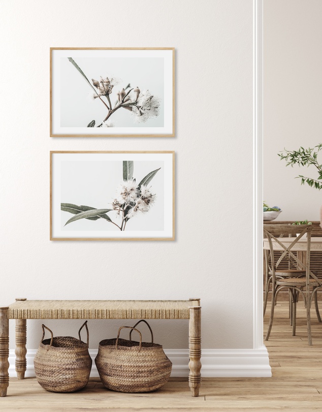Olive et Oriel - White Eucalyptus II Art Print