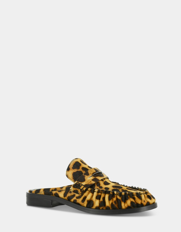 Senso - Charlotte IV
