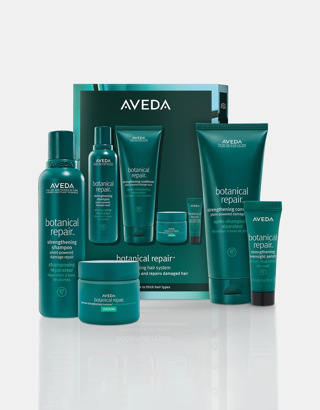 Aveda - Botanical Repair Rich Value Kit