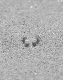 SAINT VALENTINE - Mini Pearl Studs - Silver