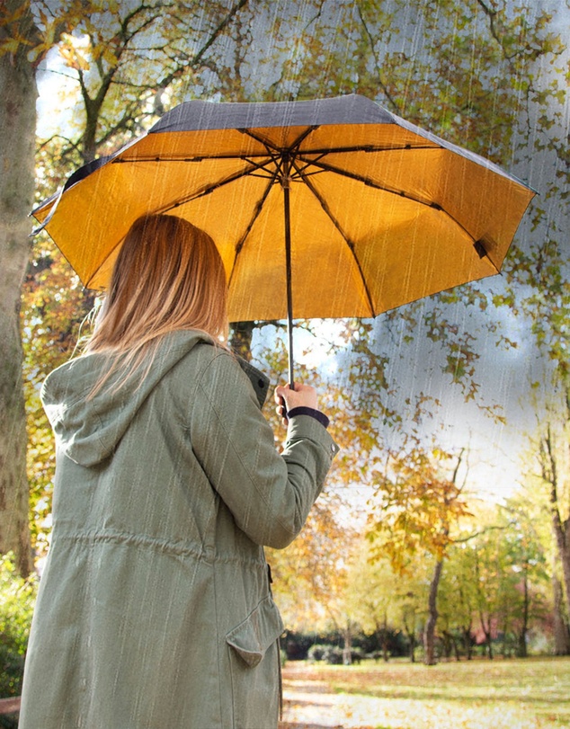 Suck UK - Umbrella Black & Gold