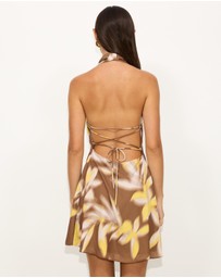 Dazie - Frangipani Halter Mini Dress