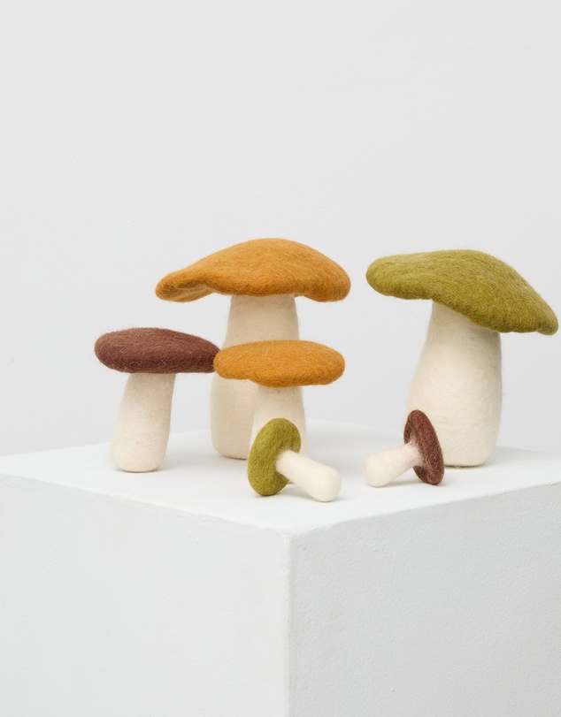Phile - Crate of Mushrooms - Brown