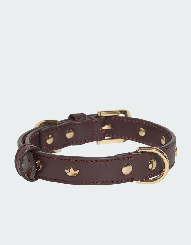 adidas Originals - adidas Pet Collar