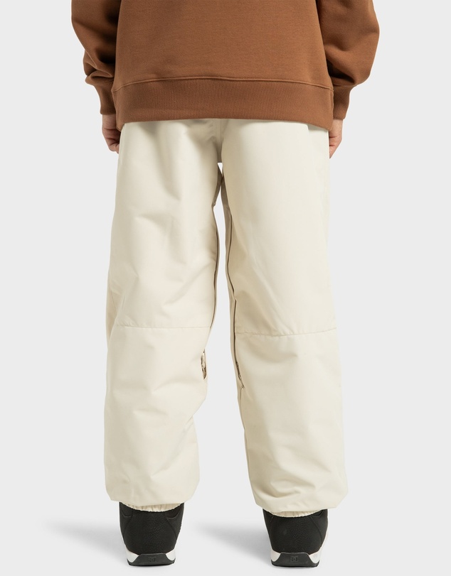 DC Shoes - Mens Primo Snow Pants