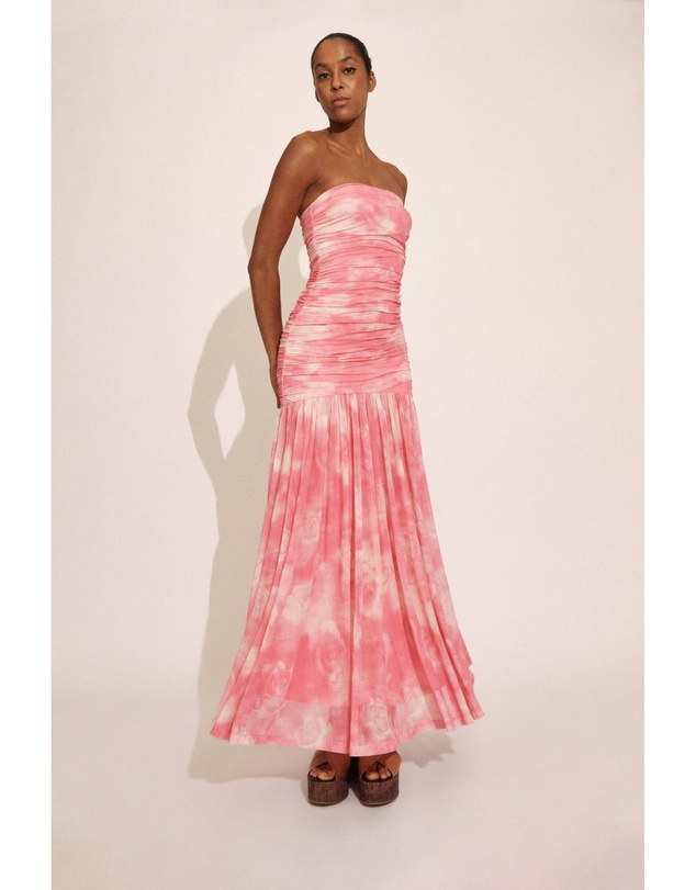 Bardot - Solana Printed Mesh Maxi Dress