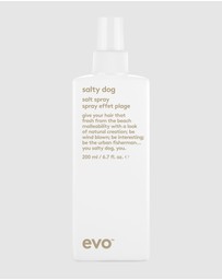 evo - Salty Dog Salt Spray 200ml