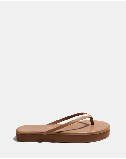 Tkees - Lily Platform