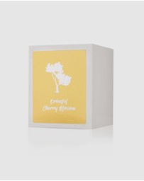 Silk Oil of Morocco - Oriental Cherry Blossom Luxe Natural Soy Candle