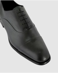 Brando - William Lace Ups
