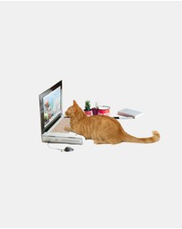 Suck UK - Cat Playhouse Scratch Laptop