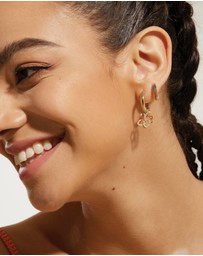 Ania Haie - Ania Haie Gold Oval Hoop Earrings