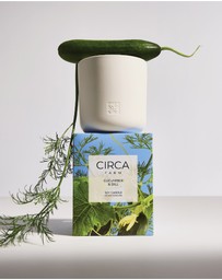 CIRCA - Cucumber & Dill Soy Candle