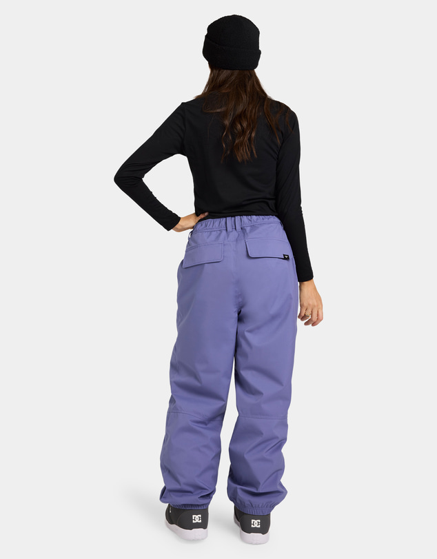 Roxy - Womens Winter Vibe Snow Pants