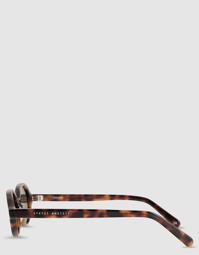 Status Anxiety - Wonder Sunglasses