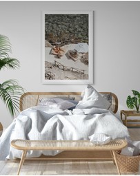 Amichi Co - Lounge Lizards Fine Art Print