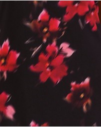 Azzurielle - Myra Print Maxi Dress