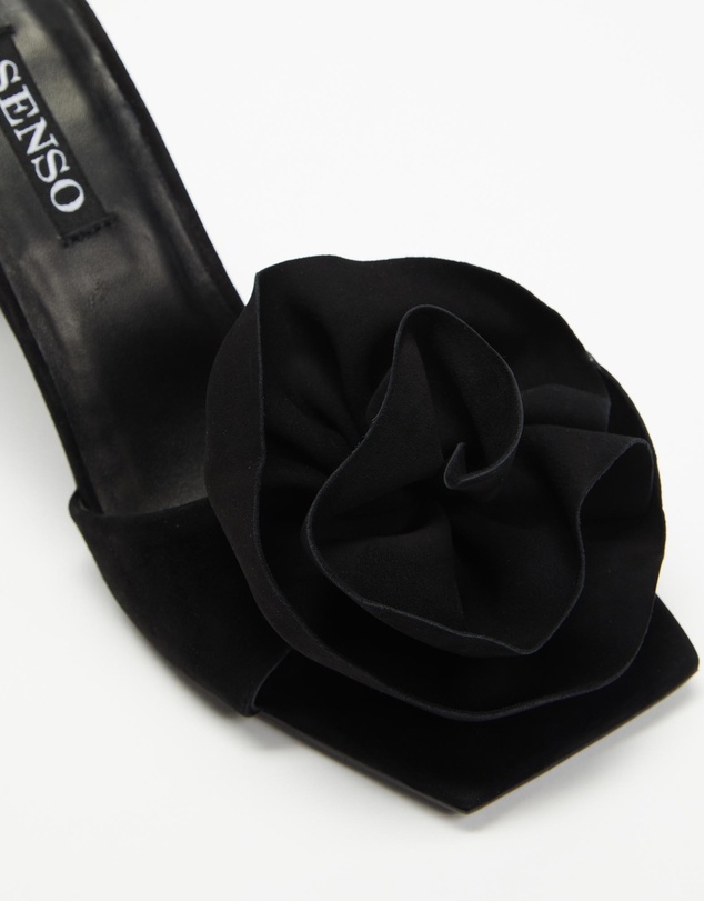 Senso - Harlow