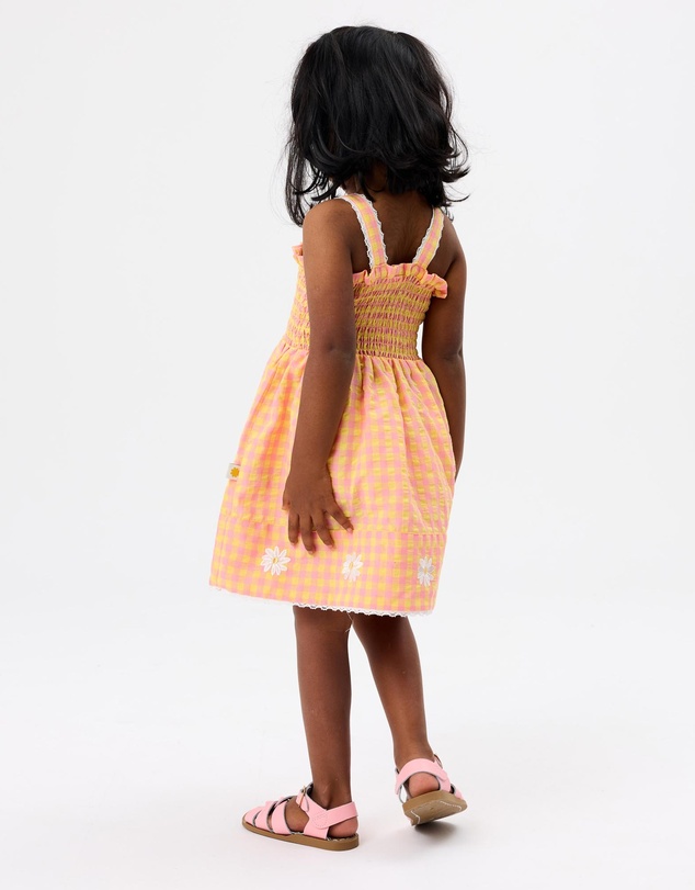 Goldie + Ace - Shirred Sherbet Check Dress - ICONIC EXCLUSIVE - Babies-Kids
