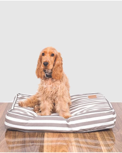 Mog & Bone - Classic Cushion Dog Bed - Latte Hampton Stripe Print