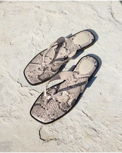 Snake Print