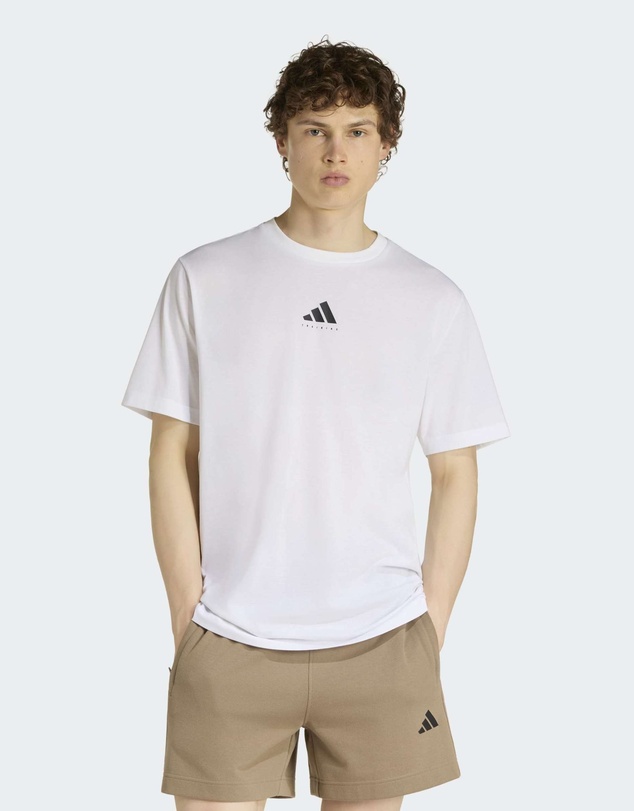 adidas Performance - CLIMACOOL CATEGORY TRAINING GRAPHIC T-SHIRT Mens