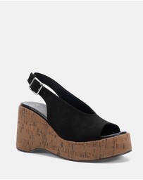 Novo - Belief Wedges
