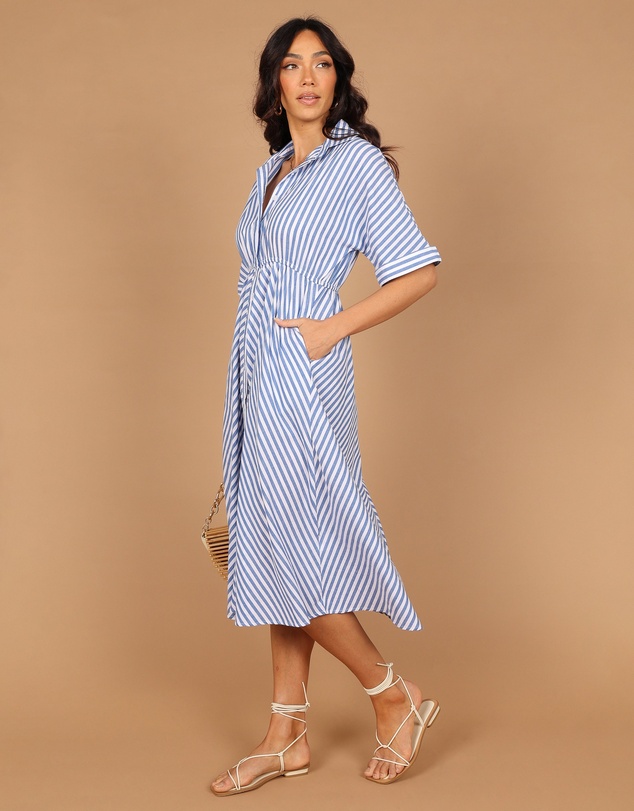 Petal & Pup - Finn Collared Midi Dress - Blue Stripe
