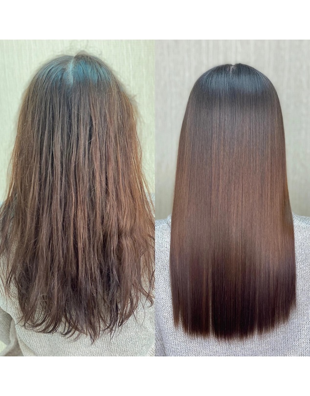 Silk Oil of Morocco - Emilee Hembrow - Shield, Glimmer & Treat Me Argan Trio