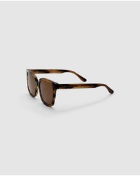 Daniel Wellington - Grande Acetate Brown Sunglasses
