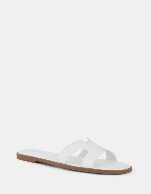 Novo - Sachie Slides