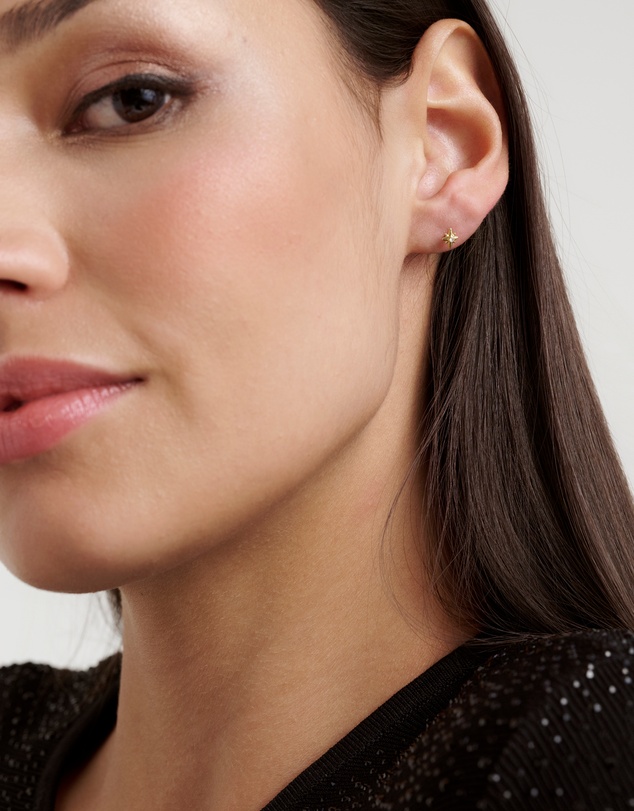 Ted Baker - SURI: Star Charm Crystal Micro Stud Earrings