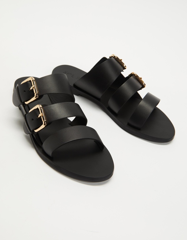 Sol Sana - Sensei Slides
